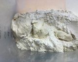自家製酵母のパン：基本のバンズパン作り方2写真