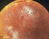 飴色❀ヨーグルト入りの焼きりんごケーキ作り方12写真