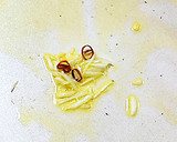 大根の皮とベーコンのペペロンチーノ風♪作り方2写真