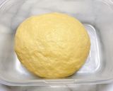【冷蔵発酵】赤いバイカラークロワッサン作り方14写真