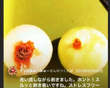 裏技！玉ねぎの皮を剥きやすくする方法作り方3写真