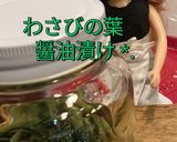 リカちゃん♡わさびの葉しょうゆ漬け˖ ⭑作り方13写真
