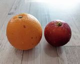ブラッドオレンジのチョコレートケーキ作り方1写真