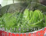 【最強レシピ】糖質オフ♬おからグラタン♬作り方1写真