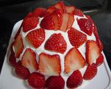 クリスマスケーキ苺ズコット(インスタ映え作り方15写真