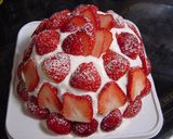 クリスマスケーキ苺ズコット(インスタ映え作り方17写真