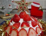 クリスマスケーキ苺ズコット(インスタ映え作り方19写真