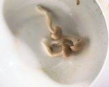お一人様☆和風バーニャカウダ温野菜サラダ作り方10写真