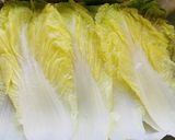 シンプルに!ロール白菜☆酒蒸し作り方1写真