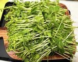 スパイシーな砂肝と豆苗のガーリック炒め作り方5写真