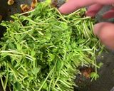 スパイシーな砂肝と豆苗のガーリック炒め作り方6写真