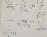 クリームチーズのロールパン作り方3写真