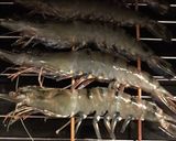 海老の塩焼き作り方5写真