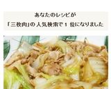 豚バラ白菜：豚三枚肉と白菜のうま煮作り方14写真