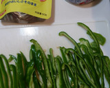 簡単！美味♪もやしとツナのカレーマヨ炒め作り方1写真