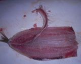 鰯のパネソティー作り方4写真