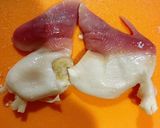 ホッキとアボガドのワサビマヨネーズ作り方3写真