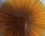 無水鍋でなんちゃってベジブロス作り方5写真