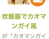 炊飯器でカオマンガイ風作り方12写真