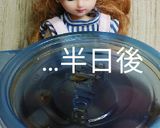 リカちゃん♡キンカン(腹たま)の醤油漬け作り方13写真