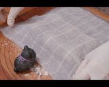 レーズン酵母の元種で作るミニカンパーニュ作り方8写真