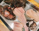 オコゼの刺身 オニオコゼの捌き方作り方13写真