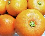 本格的な味！かぶつドレッシング作り方2写真
