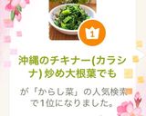 沖縄のチキナー(カラシナ)炒め大根葉でも作り方4写真