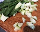 しびれる辛さ！鶏肉と青梗菜の麻辣炒め♪作り方1写真