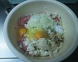 おからのミートボール作り方3写真