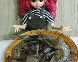 リカちゃん♡芝海老水餃子*海老だし凝縮作り方1写真