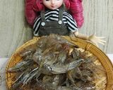 リカちゃん♡芝海老水餃子*海老だし凝縮作り方2写真