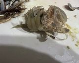 ワタリガニのペペロンチーノ作り方2写真