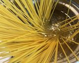 ワタリガニのペペロンチーノ作り方8写真