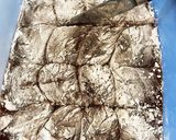 コーヒー香るチョコもち作り方8写真