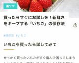 国産いちご*取り扱い説明書*下処理＊保存作り方10写真
