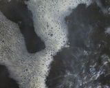 リカちゃん♡海鮮磯鍋(生のり)作り方5写真