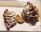 ごま油のアヒージョ砂肝編作り方4写真