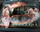 烏賊を丸ごと漬けて焼く！塩酒粕漬け作り方4写真