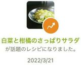 白菜と柑橘のさっぱりサラダ作り方8写真