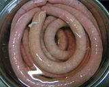 おもてなしにどう？手作りソーセージ★作り方5写真