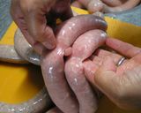 おもてなしにどう？手作りソーセージ★作り方6写真