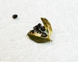 クラフトコーラ（模索中）作り方1写真