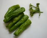 簡単！鶏ももとししとうの蒸し焼き作り方2写真