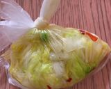 まだ箸は止まらない!!白菜浅漬けⅡ作り方4写真