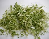 簡単！肉野菜の味噌煮作り方1写真