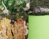 おにぎラズ　鯖フレーク玉子焼きネギたらこ作り方6写真
