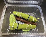 幼虫チョコ アゲハ蝶の一生作り方26写真