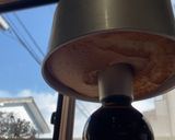 卵白だけのバニラシフォン作り方13写真