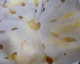 豚の林檎煮作り方16写真